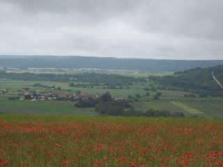 Poppy Field near Tranchees des Soif