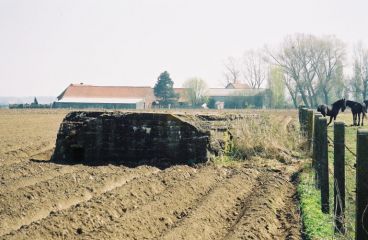 Bunker In Flanders