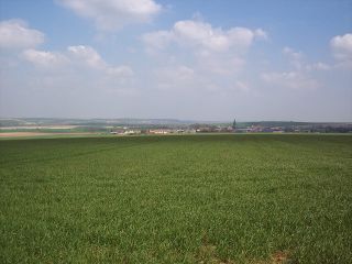 View to Vimy Ridge